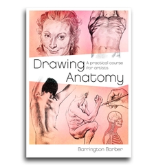 Drawing Anatomy