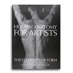 Human Anatomy for Artists