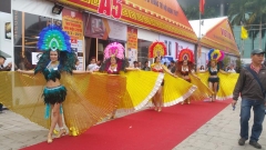 Bộ Carnival lông vũ cánh màu vàng