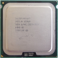 10942 Bộ xử lý CPU 5030 (4M Cache, 2.66 GHz, 667 MHz FSB) 2 cores threads / socket 771