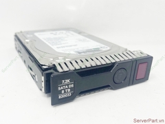 17031 Ổ cứng HDD SATA HP HPE 8TB 7.2K 3.5