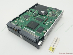 17083 Ổ cứng HDD SCSI 68 pin Seagate 146GB 10K 3.5
