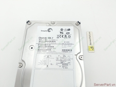 17249 Ổ cứng HDD SCSI 68 pin Seagate 300GB 10K 3.5