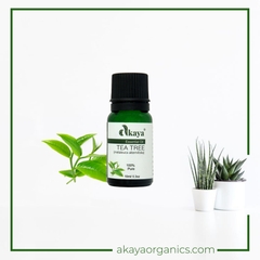 Tinh Dầu Tràm Trà Nguyên Chất/ AKAYA Pure Tea Tree Essential OIL