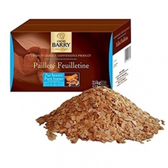 Bột CACAO BARRY PAILLETE FEUILLETINE 2.5kg