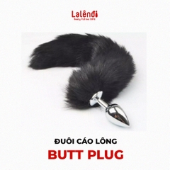 Đuôi cáo lông dài