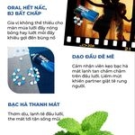 Kẹo viên bạc hà Frisk Neo - Nhật Bản