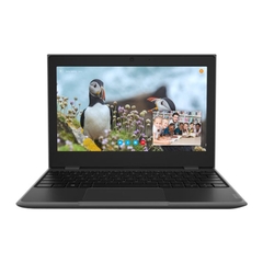 Lenovo WinBook 100e NK, N4020, 4GB, SSD 64GB, 11.6