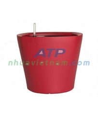 Anh Tú Chậu cây thông minh nhỏ đỏ