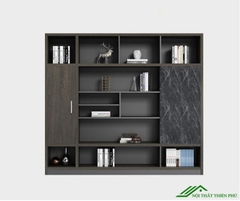 Tủ tài liệu cao cấp - TL 06