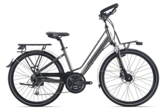 Xe đạp Giant Momentum ISEE 530 - 2021