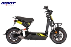 Xe đạp điện GIANT M133DS 2020