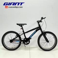 Xe đạp trẻ em GIANT ATX 20 S 2022