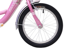 Xe đạp bé gái Jsxiong 2305 20 Inch