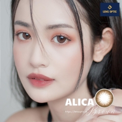 Kính áp tròng 1 ngày màu Alica Brown Clalen iris, lens mắt 1 lần màu nâu có độ cận - Lens Optic