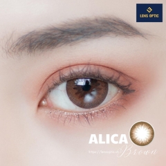 Kính áp tròng 1 ngày màu Alica Brown Clalen iris, lens mắt 1 lần màu nâu có độ cận - Lens Optic