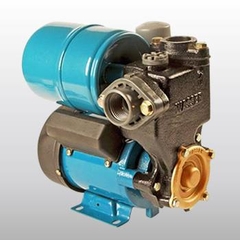 Máy bơm nước PW-125EA