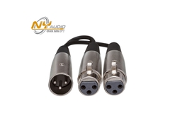 Cáp chữ Y ProCo YMXM2XF-1 XLR-2XLR3F