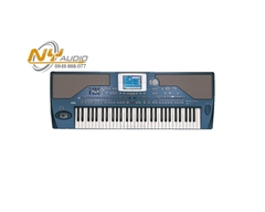 Korg PA-800 Professional Arranger Keyboard