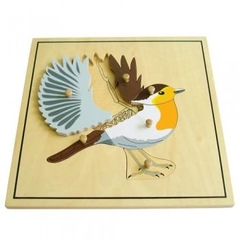 Ghép hình bộ xương con chim – Bird skeleton puzzle