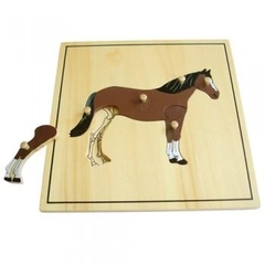 Ghép hình bộ xương con ngựa – Horse skeleton puzzle
