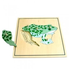 Ghép hình bộ xương con ếch – Frog skeleton puzzle