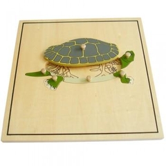 Ghép hình bộ xương con rùa – Turtle Skeleton Puzzle