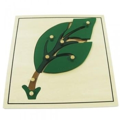 Ghép hình lá cây – Leaf puzzle