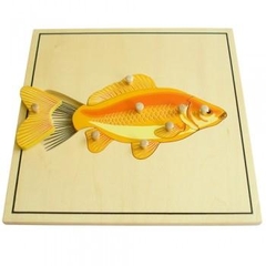 Ghép hình bộ xương con cá – Fish skeleton puzzle