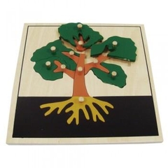 Ghép hình thân cây – Tree puzzle