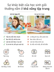 Máy chơi game Schulte Zupp Focus Gen 1 rèn luyện tập trung