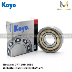 Bạc đạn KOYO 6203