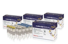 Phusion™ Plus PCR Master Mix