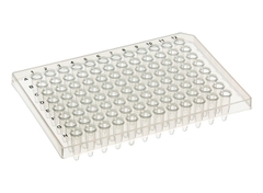 PCR Plates – Đĩa PCR