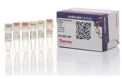 Thermo Scientific™  Direct PCR