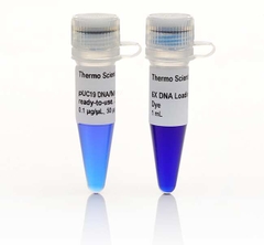Lambda, Phage & Plasmid DNA Markers