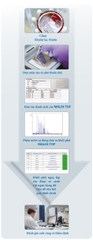 MALDI Biotyper (MALDI-TOF) Bruker