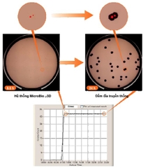 Tủ ủ MicroBio 3D