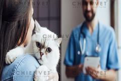 Cảm ơn khách hàng đã tin tưởng Hanoi Petcare - Chien Vet Clinic