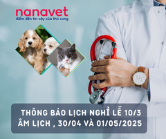 Lịch nghỉ lễ Giỗ Tổ Hùng Vương 10/03 , 30-4, Quốc tế Lao động 1-5 năm 2025