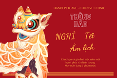 Thông báo lịch nghỉ tết âm lịch - NHÂM DẦN- 2022