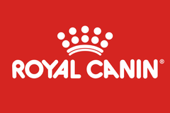 Mua Royal Canin ở đâu Hà Nội?