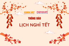 Thông báo lịch nghỉ tết dương lịch 2025 và tết nguyên đán Ất Tỵ