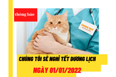 Thông báo lịch nghỉ tết dương lịch 2022