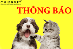 Thông báo về sử dụng điểm tích luỹ trong năm 2020