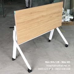 Bàn Chân Sắt BHL12B