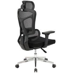 Ghế Công Thái Học GLE18