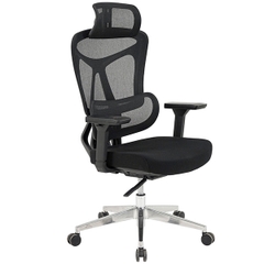 Ghế Công Thái Học GLE18