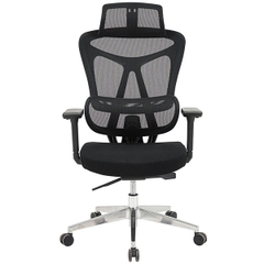 Ghế Công Thái Học GLE18