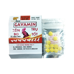 GAVAMIN (10 VIÊN/TÉP)